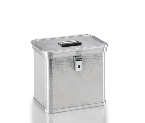 Gmöhling Transportiste G®-professional BOX aus Aluminium-Strukturblech