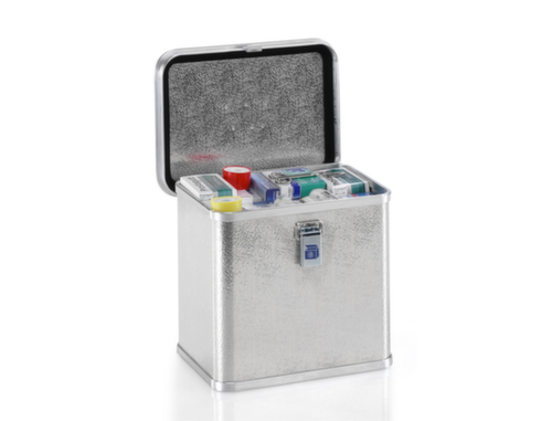 Gmöhling Transportiste G®-professional BOX aus Aluminium-Strukturblech