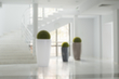 milieu_01 S
