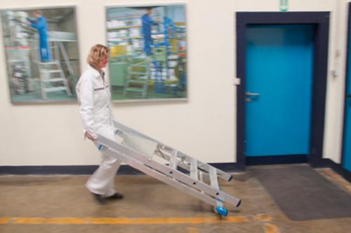 Échafaudage à échelles modular, hauteur d’estrade 700 mm