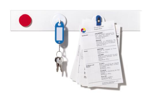 Franken Rail magnétique