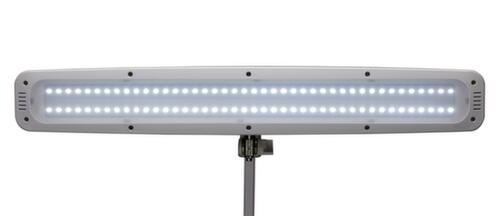MAUL lampe de table à DEL avec variateur MAULwork, lumière blanc froid (blanc lumière du jour), blanc