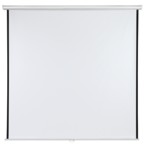 Franken écran de projection sous carter avec commande manuelle