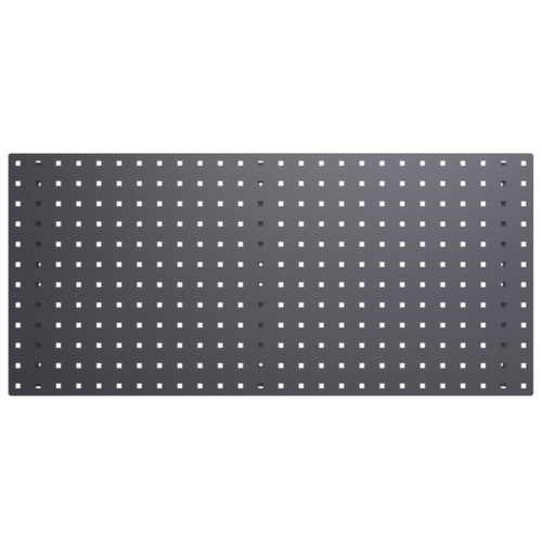 bott Plaque perforée, hauteur x largeur 457 x 991 mm, RAL7016 gris anthracite