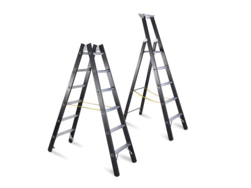 ZARGES Échelle à échelons pour charges lourdes Z600 charge max. 250 kg