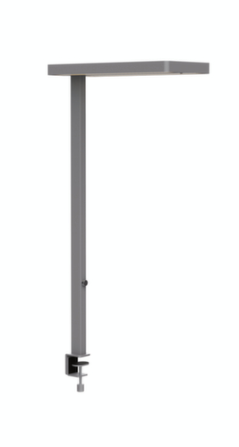 MAUL Lampe étagère de bureau à DEL MAULjuvis, lumière blanc neutre, argent