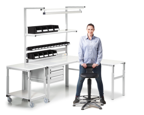 Treston Tablette inférieure pour desserte de rangement pour poste de travail, largeur x profondeur 700 x 500 mm