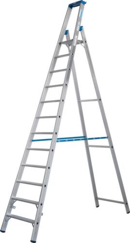 Krause Escabeau STABILO® Professional, 12 marches avec revêtement R13