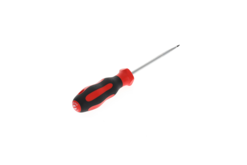 R38105519 Tournevis 2K fente 5.5 mm 1x100 mm