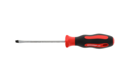 R38105519 Tournevis 2K fente 5.5 mm 1x100 mm