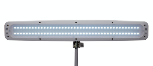 MAUL lampe de table à DEL avec variateur MAULwork, lumière blanc froid (blanc lumière du jour), blanc