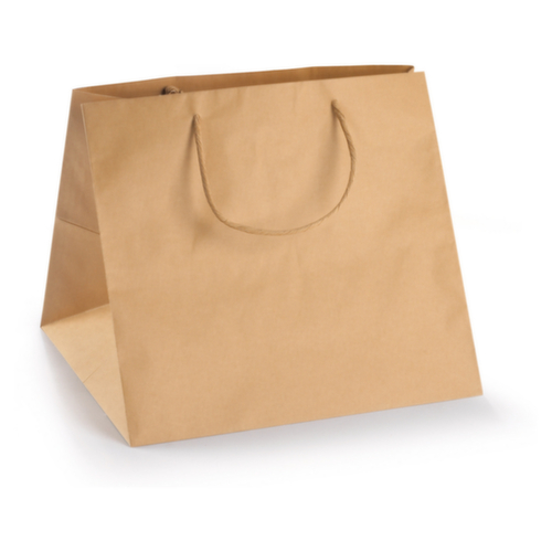 10 sacs kraft bruns
