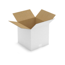 Caisse carton blanche RAJA