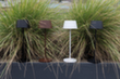 milieu_01 S
