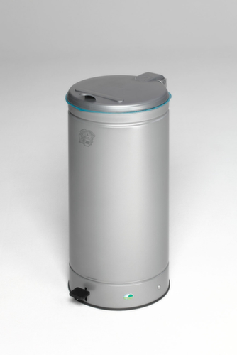 VAR Abfallbehälter GVA mit Fußpedal, 66 l, silber Standard 1 L