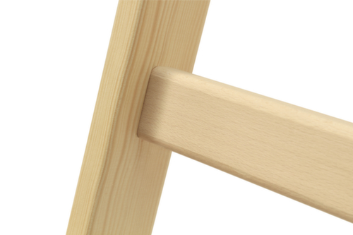 Hymer Sprossenstehleiter aus Holz Detail 3 L