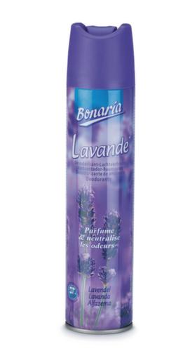 Duftspray, Geruch Lavendel Standard 1 L
