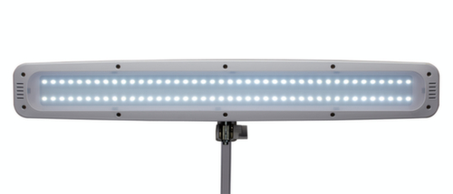 MAUL Dimmbare LED-Tischleuchte MAULwork, Licht kaltweiß (tageslichtweiß), weiß Detail 2 L