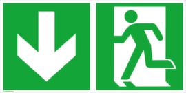 Fluchtwegschild SafetyMarking® Notausgang, Wandschild, langnachleuchtend