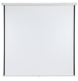 Franken Rollo-Leinwand  mit manueller Bedienung