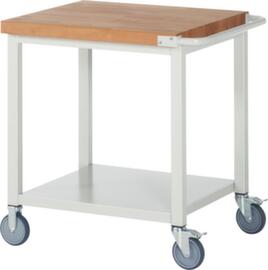 RAU Mobile Werkbank Serie 8000