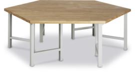 RAU Gruppenwerkbank Serie 4000