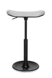 Topstar Sitz-/Stehhilfe Sitness H2 mit Skateboard-Sitz