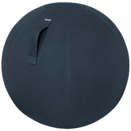 Leitz Sitzball Ergo Cosy