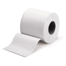 Raja Toilettenpapier, 2-lagig, recycelter Zellulose