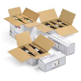 Flaschenkarton mit Kartoneinlage für 2 Flaschen