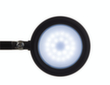 MAUL Dimmbare LED-Schreibtischleuchte MAULgrace colour vario, Licht tageslicht- bis warmweiß, silber Standard 7 S
