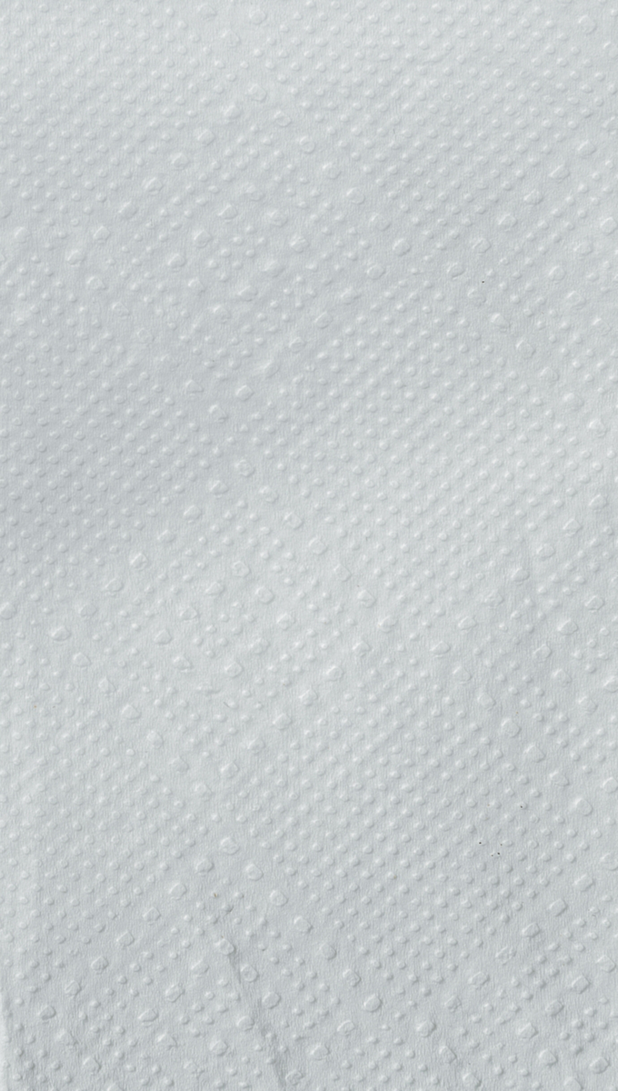 Papierhandtücher Eco aus Tissue mit W-Falz, Zellstoff Standard 3 ZOOM