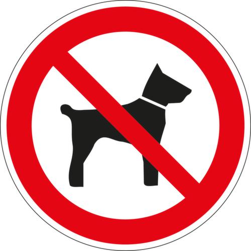 Panneau d'interdiction Interdit aux chiens, étiquette, Standard  L
