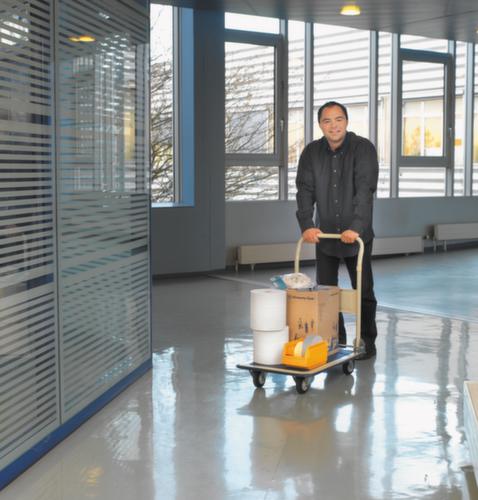 Raja Chariot avec barre de poussée pliable Eco avec revêtement antidérapant, force 150 kg  L