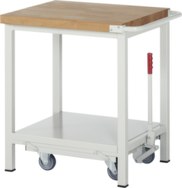 RAU Établi mobile Serie 8000