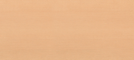 KRAFTWERK® Top en bois pour servante d'atelier BT1100