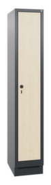 C+P Armoire Evolo 1 compartiment avec porte décorative, largeur de compartiment 300 mm