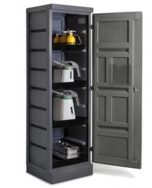 armoire pour acides et bases PolyStore, hauteur x largeur x profondeur 1990 x 610 x 640 mm