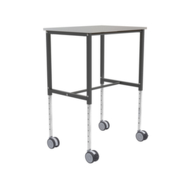 Kongamek Chariot à plateaux polyvalent