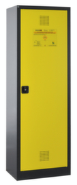 Lacont Armoire pour produits dangereux storeLAB
