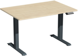 Gera bureau &agrave; hauteur r&eacute;glable &eacute;lectriquement Elevate Plus avec pi&egrave;tement en T