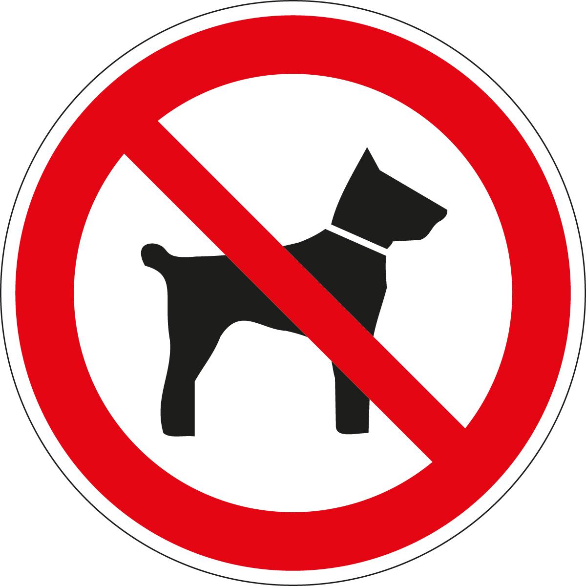 Panneau d'interdiction Interdit aux chiens, panneau d'information, Standard  ZOOM