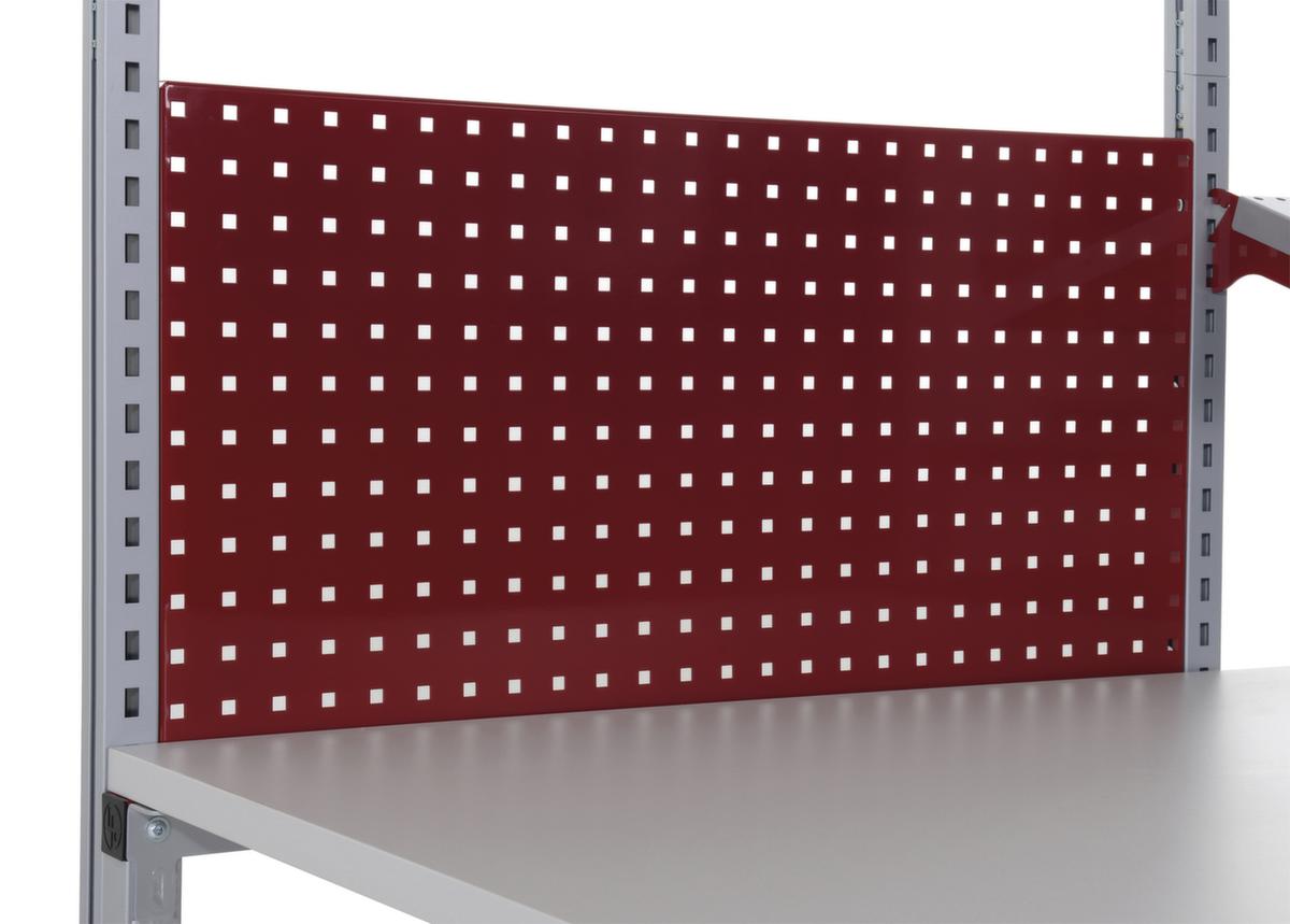 Rocholz Plaque perforée System Flex pour table d'emballage, hauteur 200 mm  ZOOM