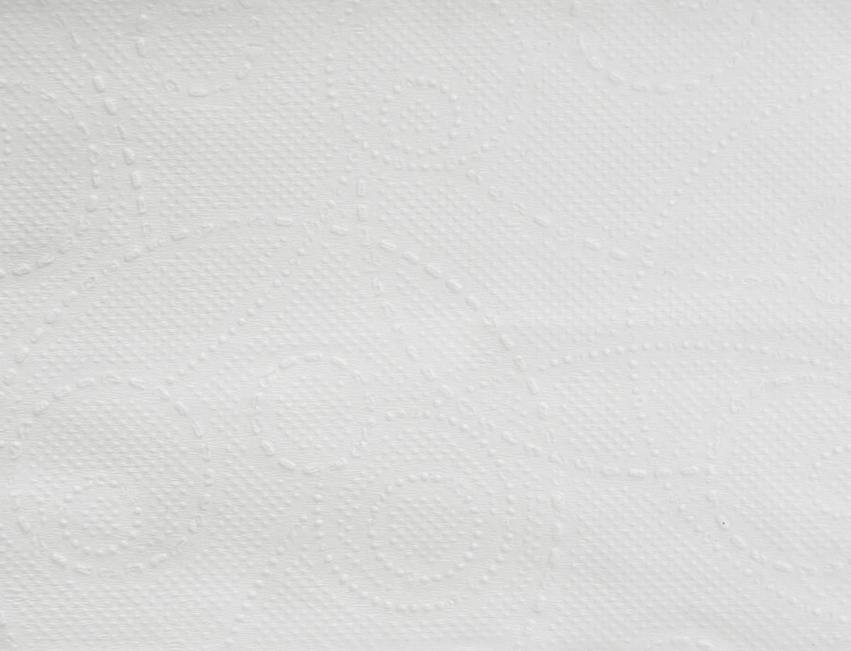 Essuie-mains en papier Eco en papier-serviette avec feuillure V, cellulose  ZOOM