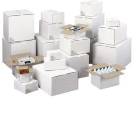 Wellpapp-Faltkarton mit 20 kg Traglast