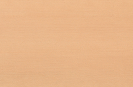 KRAFTWERK® Holz Top für Werkstattwagen BT700