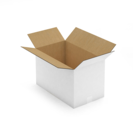 2-welliger Wellpapp-Faltkarton weiß RAJA