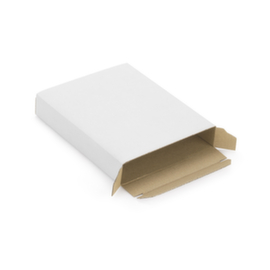 Karton Briefkasten Weiß 255 x 120 x 25 mm