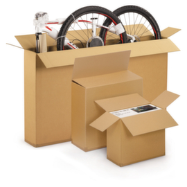 Karton Für Flache Produkte RAJA 700 x 250 x 700 mm