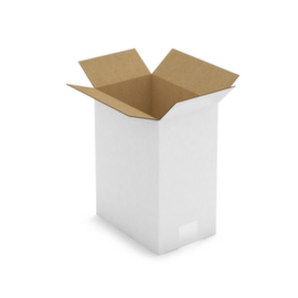 Weiße Wellpapp-Faltkartons RAJA